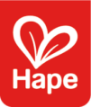 Toys Hape